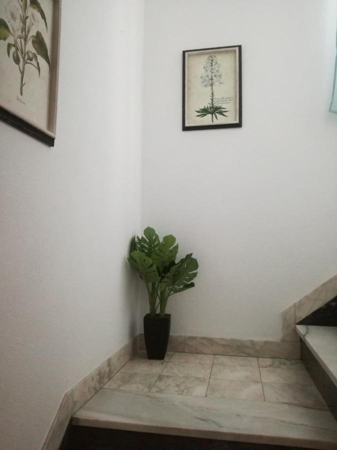 Arronches Villa Kültér fotó